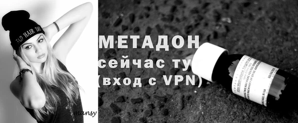 индика Володарск