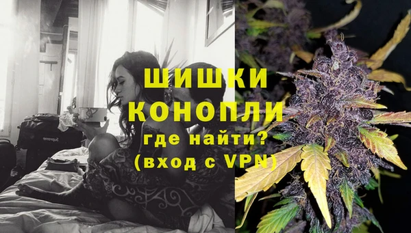 индика Володарск