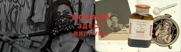индика Володарск