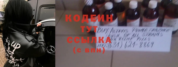 индика Володарск