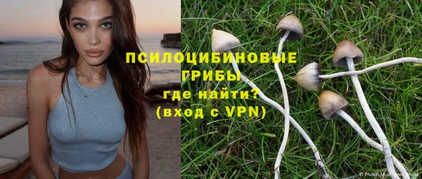 индика Володарск