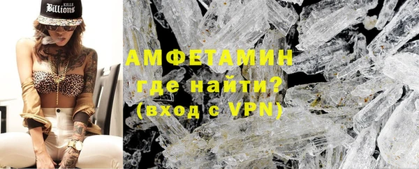 индика Володарск