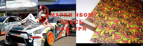индика Володарск