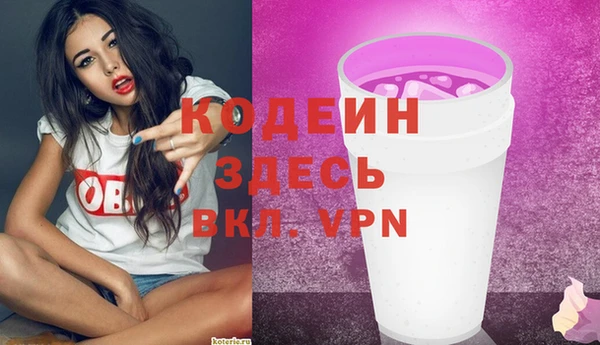 индика Володарск