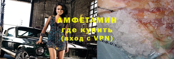 индика Володарск