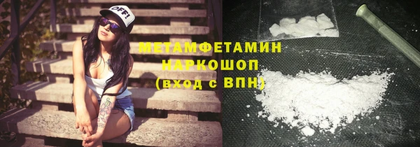 индика Володарск