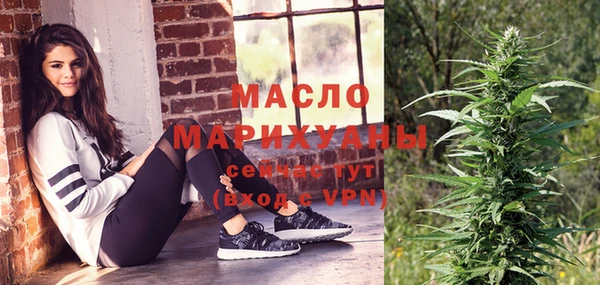 индика Володарск