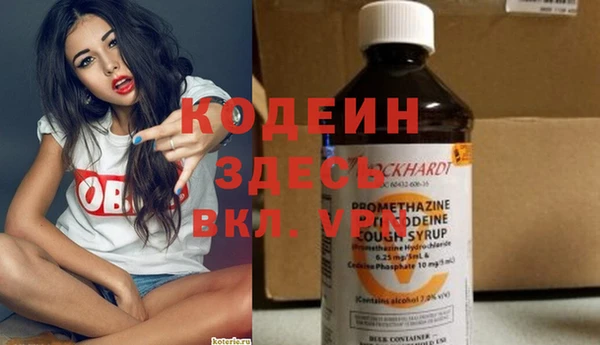 индика Володарск
