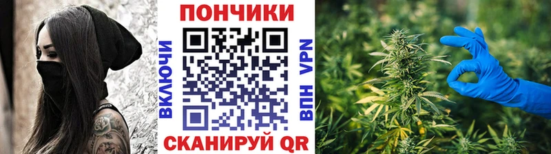 Канабис план Фёдоровский